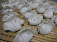 美味的韭菜水饺做法图解5)