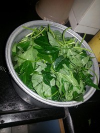 神奇的蒜香蕃薯藤做法图解1)