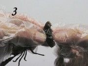 家常菜凉拌小龙虾做法图解3)