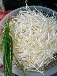 美味豆芽卷粉做法图解1)