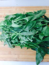 美味菠菜玉米面发糕做法图解1)