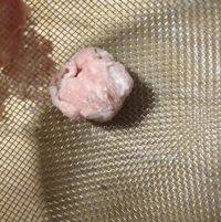 美味的梅花蒸饺做法图解11)
