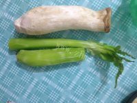 家常菜杏鲍菇炒莴笋做法图解1)