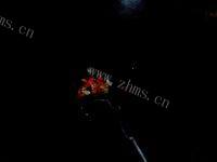 家常菜炒芥菜做法图解3)
