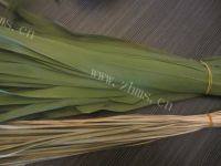 美味的红豆粽做法图解1)
