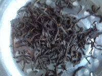 最爱的就是奶茶做法图解3)