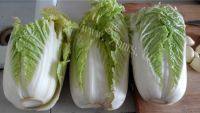 自制蒜蓉粉丝娃娃菜做法图解1)
