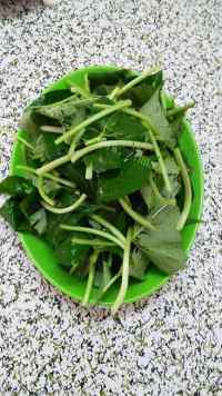 家常菜蒜蓉红薯叶做法图解1)