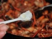 葱爆河虾做法图解4)
