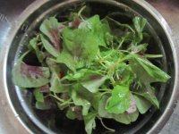 家常苋菜豆腐汤做法图解1)
