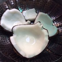 养生的老椰煲鸡汤做法图解3)