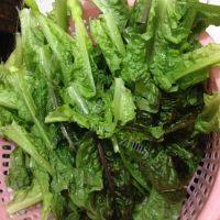 「DIY美食」炒青菜做法图解1)
