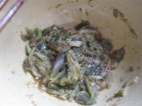 凉拌茄子（简单版）做法图解11)