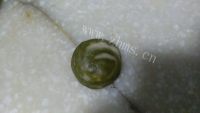 自制抹茶红豆酥做法图解14)