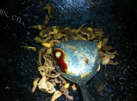 家常菜芹菜炒鸡胗做法图解9)