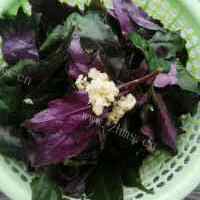 脆嫩蚝油紫贝菜的做法图解一