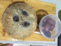 美味的椰子煲鸡做法图解2)