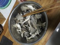 色香味浓的炸蘑菇做法图解1)