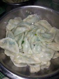 健康美食之猪肉韭菜水饺