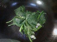 蒜香南瓜苗