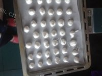 自制蛋白饼干