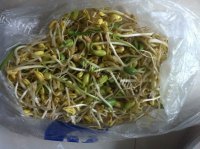 诱人的黄豆芽炒粉条做法图解2)