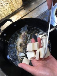 珍馐美味的鲫鱼豆腐汤做法图解5)