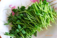 家常菜豌豆苗炒鸡蛋做法图解2)