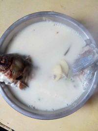 滋补的鱼汤
