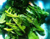 味道不错的耗油菜心苗做法图解1)