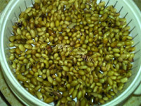 营养的芽嘴儿豆浆做法图解6)