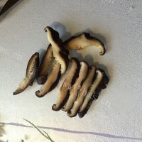美味的香菇鸡肉粥做法图解5)