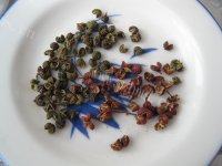 家常菜麻辣鸡胗做法图解5)