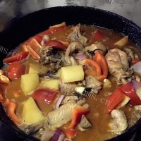 家常菜土豆炖鸡肉做法图解7)