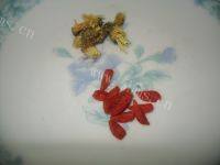 枸杞菊花茶做法图解1)