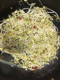 素炒绿豆芽做法图解3)