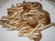 五花肉炒茶树菇做法图解1)