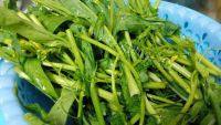 「美味可口」盐水菜心梗做法图解1)