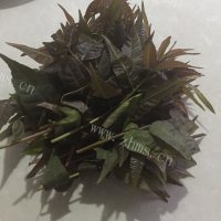 家常菜香椿芽拌豆腐做法图解1)