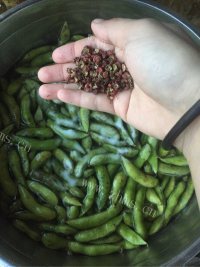 五香水煮毛豆做法图解4)