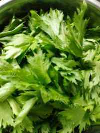 自制芹菜叶饼做法图解1)