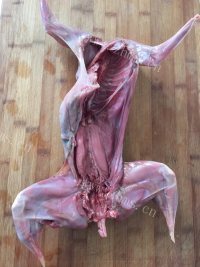 色泽鲜亮的麻辣兔肉做法图解1)
