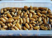 下酒菜卤花生米做法图解6)