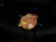 美味的鸡肉盖浇饭做法图解3)