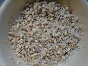 家常菜黄豆芽炒豆腐做法图解3)