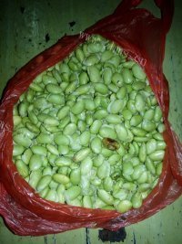 家常菜青豆炒肉做法图解1)