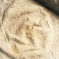 自己做的手撕饼做法图解2)