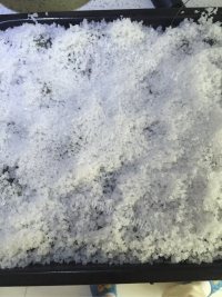 美味的盐焗虾做法图解4)