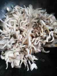 独特的平菇炒肉做法图解6)