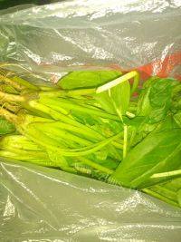 家常菜粉丝拌菠菜做法图解1)
